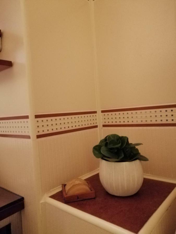 Carpatilor Residence ブラショフ エクステリア 写真