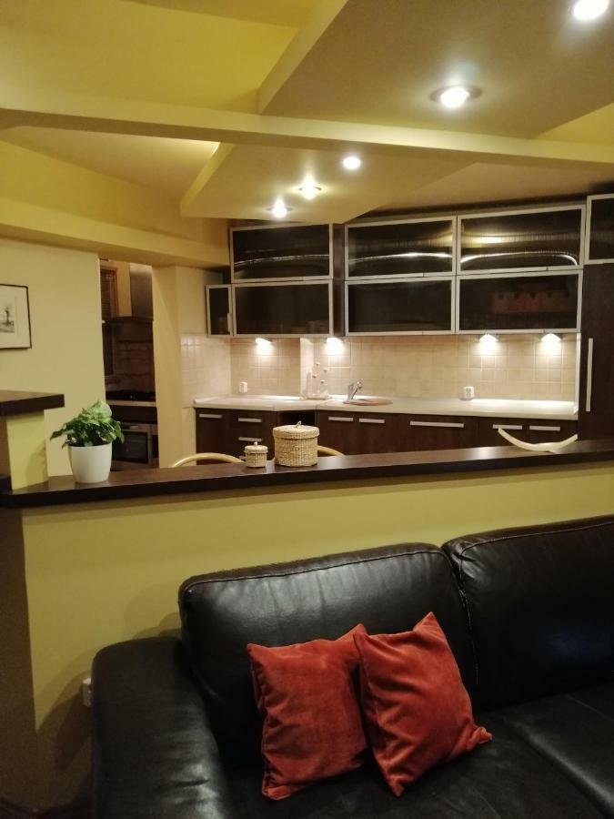 Carpatilor Residence ブラショフ エクステリア 写真