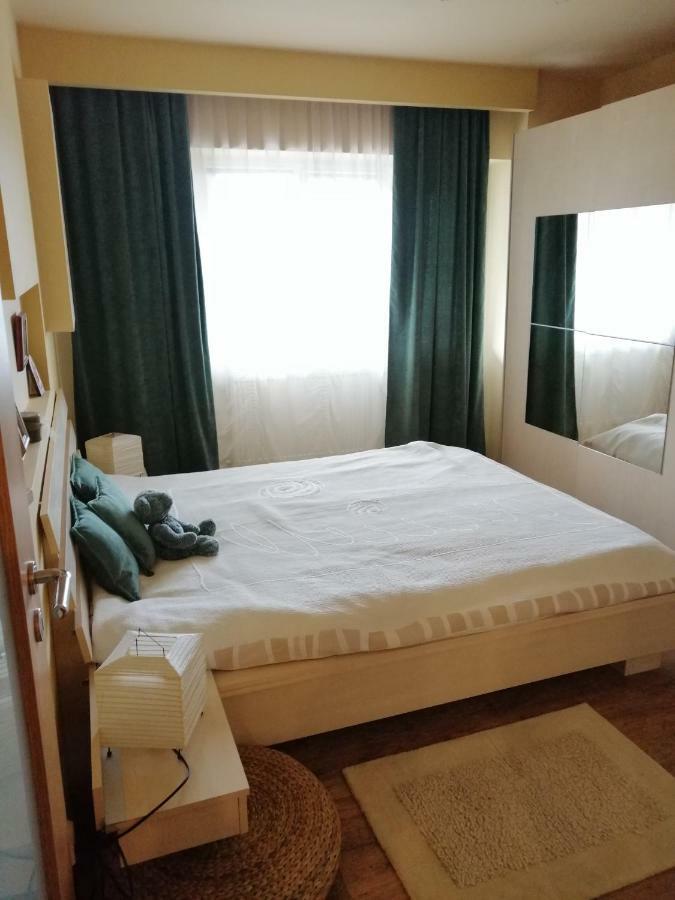 Carpatilor Residence ブラショフ エクステリア 写真